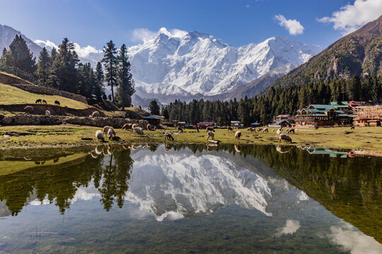 Nanga Parbat mountain mirroring in a lake in Fairy Meadows in Gilgit-Baltistan region in Pakistan