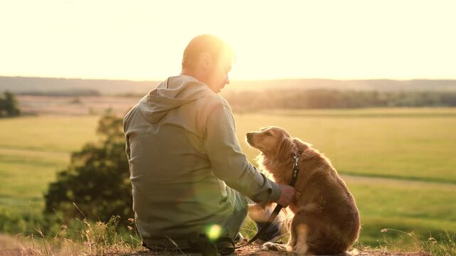Cocker spaniel dog gives paw and rolls over playing with man owner in country field at sunset man trains smart ginger dog resting in summer park man strokes tummy of fluffy spaniel dog in dusk field