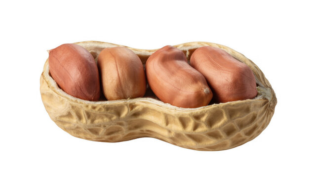 Open peanut shell with four peanuts inside open shell legume isolated on a transparent background
