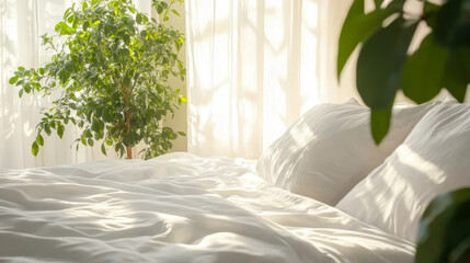 Bright bedroom with sunlight indoor and plant