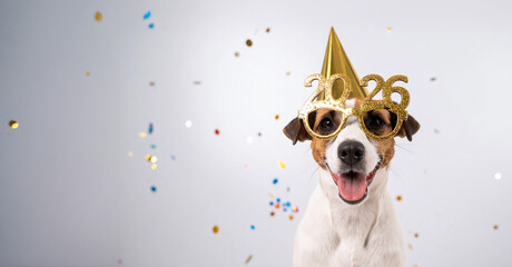 Happy New Year 2026 Concept; Cute Dog with Golden Party Hat, 2026b Celebration Glasses and Confetti Flying Around