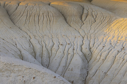 View of the textured, pale earth formations, carved by time and weather, under the warm glow of the setting sun in Senek, Mangystau Region, Kazakhstan.