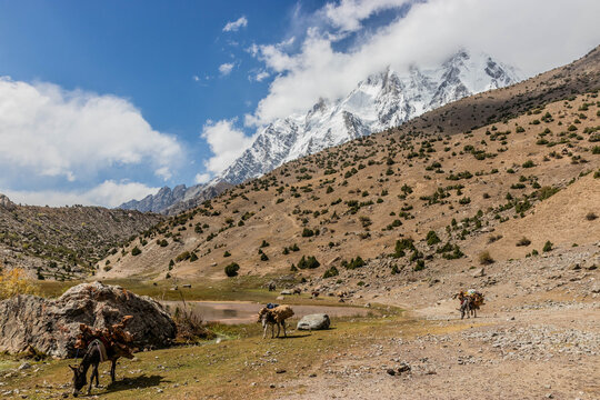 Nanga Parbat mountain viewed from Rupal valley, Gilgit-Baltistan region in Pakistan