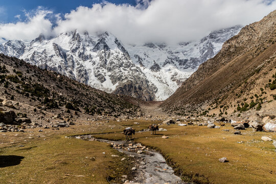 Herrligkoffer Base Camp under Nanga Parbat mountain, Gilgit-Baltistan region in Pakistan