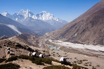 Everest base camp trekking path in Dingboche area, Nepal