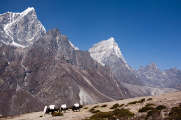 Everest base camp trekking path in Dingboche area, Nepal