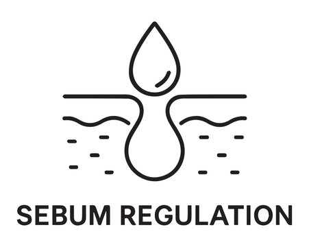 Minimalist line art icon representing skin sebum regulation