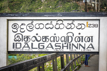 Obraz premium idalgashinna, sri lanka, train station, train, hiking, outdoors, 