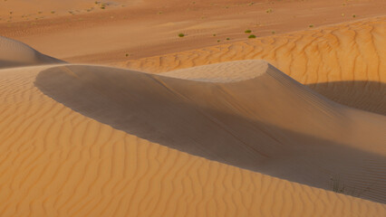 View of undulating sand dunes casting long shadows under a golden sunlight, creating a serene desert landscape, Bateen Liwa, Abu Dhabi, United Arab Emirates.