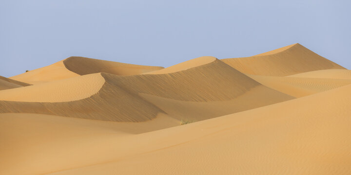 View of undulating golden sand dunes ripple under a serene blue sky, creating a mesmerizing desert landscape, Bateen Liwa, Abu Dhabi, United Arab Emirates.
