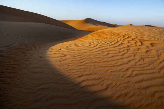 View of sun-kissed sand dunes ripple across the vast desert landscape under a clear sky, casting long shadows, Bateen Liwa, Abu Dhabi, United Arab Emirates.