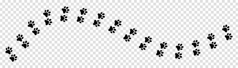 Paw print foot trail © WorldArt