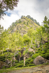 Fototapeta premium idalgashinna, sri lanka, hiking, outdoors, moutains, tea plantations, ceylon, railways