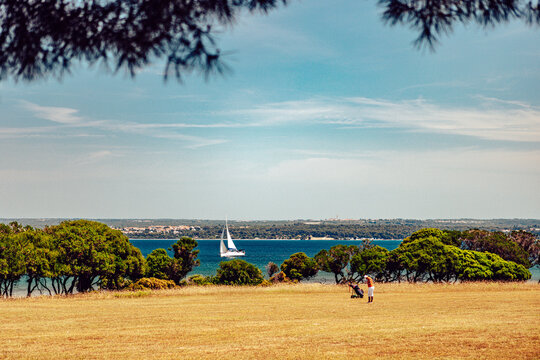 View of golden meadow meets the azure sea, framed by verdant trees, with a sailboat gliding on the water, and two figures, Fazana, Istarska zupanija, Croatia.