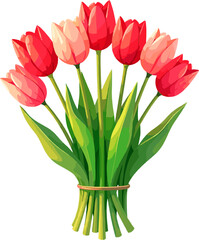 Elegant bouquet of red tulips, timeless spring flower illustration isolated on white background