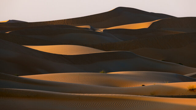 View of undulating golden dunes ripple across the arid landscape under the soft glow of the setting sun, casting long shadows in Bateen Liwa, Abu Dhabi, United Arab Emirates.