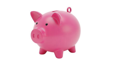 A king penguin standing against a black background, and it has a plastic bag around its body.