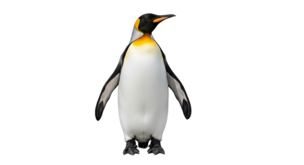A majestic penguin stands tall against a black backdrop with vibrant yellow feathers on display.
