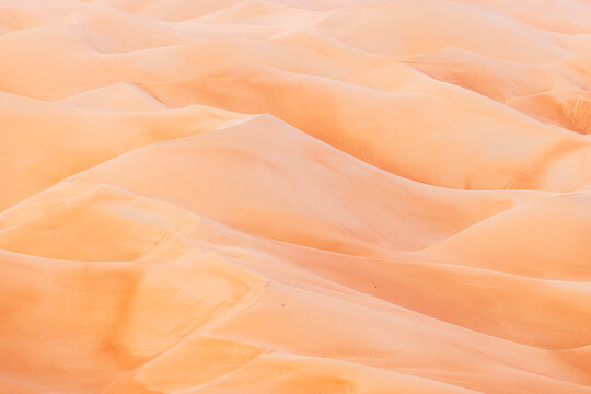 View of undulating terracotta dunes stretch into the horizon, sculpted by desert winds in a mesmerizing display of nature's artistry, Bateen Liwa, Abu Dhabi, United Arab Emirates.