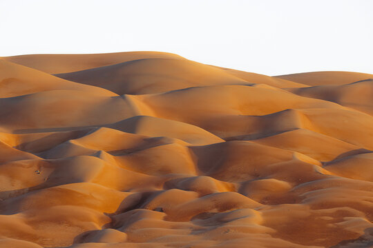 View of undulating golden sand dunes bathed in the warm glow of sunlight casting long shadows across the desert landscape, Bateen Liwa, Abu Dhabi, United Arab Emirates.