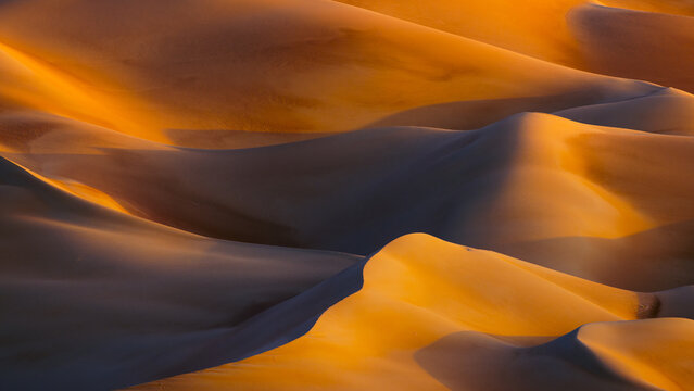 View of undulating sand dunes painted in warm hues by the setting sun, casting long shadows across the arid landscape, Bateen Liwa, Abu Dhabi, United Arab Emirates.