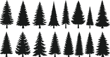 Obraz premium Eighteen black evergreen tree silhouettes in two rows on white background stylized conifer shapes for nature-themed design