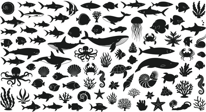 Black silhouette vector set of diverse marine life including sea creatures, corals, shells, and ocean elements for underwater themes.