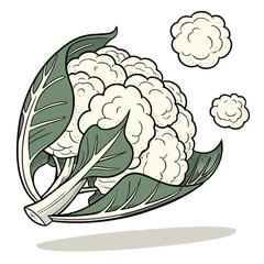 Fototapeta premium Floating cauliflower with soft shadow below white background