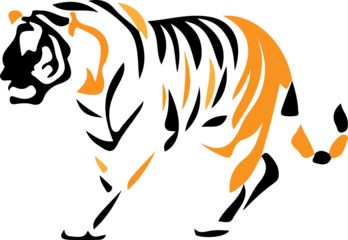 2D Tiger with transparent Background