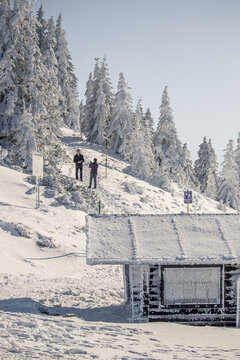 View of snow-laden evergreens cascade down the mountainside, framing a cozy cabin dusted with frost, as two figures pause against the bright, crisp horizon, Bavaria, Germany.