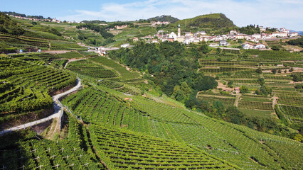Vigneti terrazzati nella valle di Cembra in Trentino