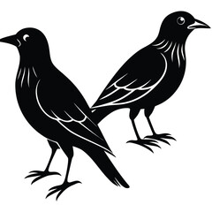 Obraz premium Vector Silhouettes of Birds in Flight, Set of Bird Silhouettes in Black Vector art