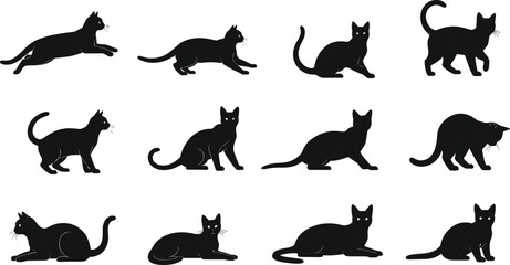 Cat silhouette illustration set, feline posture icons, walking sitting stretching poses, pet behavior vector, animal graphic design bundle © afjal