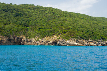 Green hillside with rocky coast and blue sea under clear sky