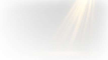 Light beams shining through a foggy space during the early hours of the morning