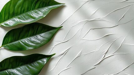 Fresh Green Leaves on Textured White Background for Natural Aesthetics