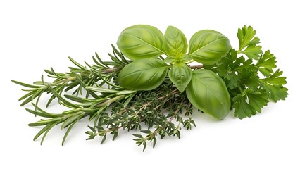 Fresh Herbs Basil Rosemary Parsley Arrangement.