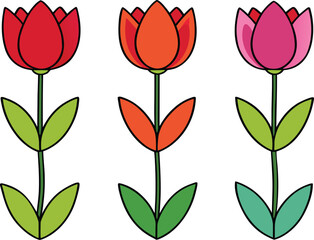 set of tulips