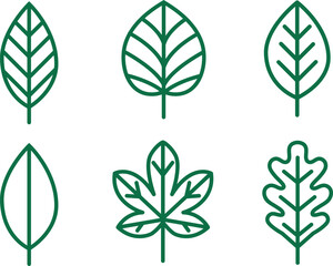 Fototapeta premium Collection of green leaf icons isolated on transparent background