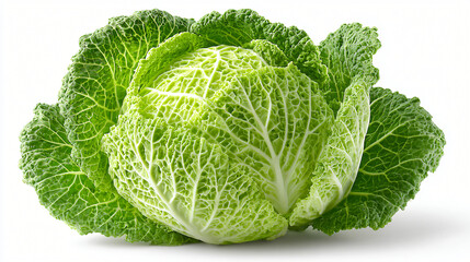 Obraz premium Green savoy cabbage head isolated, Organic cabbage vegetable close up