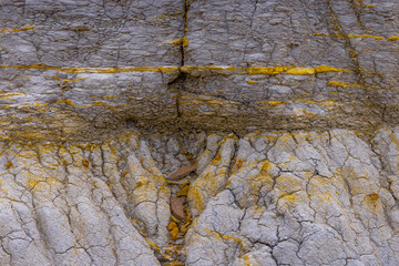 View of layered rock formations, displaying a tapestry of earthy tones, with gold veins cutting through the grey stone, creating a textured, rugged landscape, Shetpe, Mangystau Region, Kazakhstan.