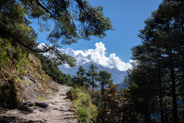 3 passes trekking route between Namche bazaar and Thame villages. Stone paved trail in a forest against snowy Kusum Khangkaru peak. Khumbu, Nepal.