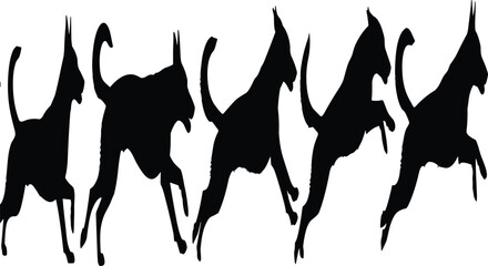 Playful cat silhouettes jumping and stretching in dynamic poses, feline movement, energy and fun concept illustration isolated on white background © Shadhona