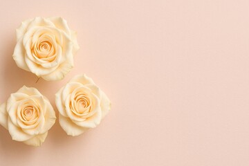 Fototapeta premium Cream roses on soft pastel background with copy space. Elegant floral composition for wedding, romance, branding, design use.