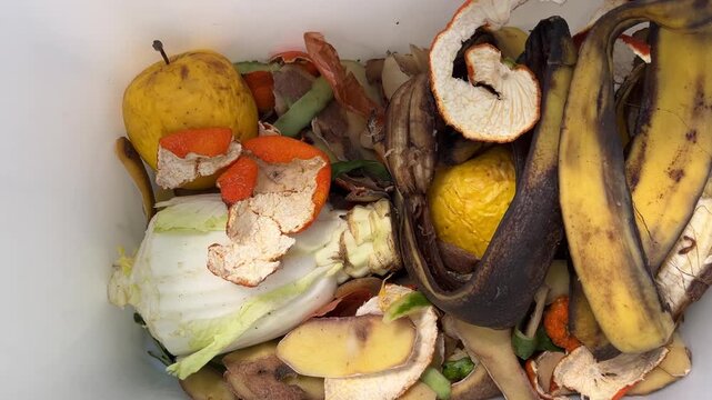 Food scraps in a compost bin. Composting Organic Food Waste for producing fertile soil