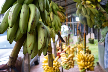 Bananas at a fruit stand in Sri Lanka. Local fruit market.