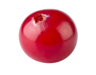 A single, glistening, ripe red berry on a black background