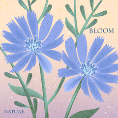 Soft floral illustrations with textured backgrounds, bloom,nature and wild flowers in pastel colors. Gentle botanical art for decor, prints, cards, and modern design projects.