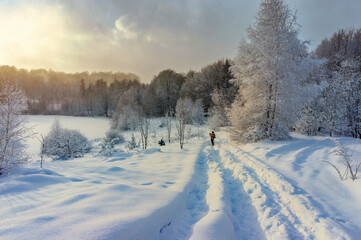 Tourists on a snow-covered road photograph a winter sunset forest.