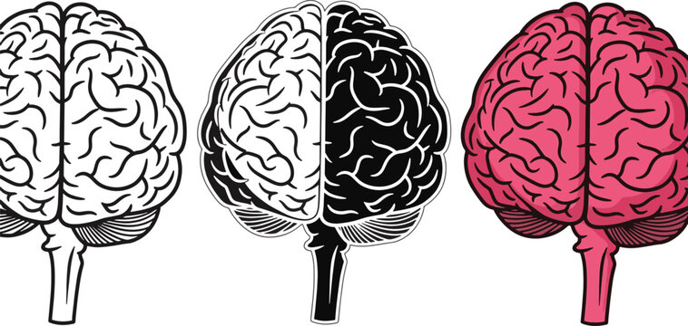 Illustrations of brain hemispheres and lateralization concepts